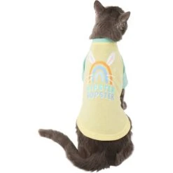 Frisco Hipster Hopster Dog & Cat T-Shirt -Pet Supplies Discount Store 300638 PT2. AC SS1800 V1641538001