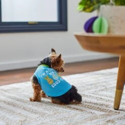 Frisco I'm A Little Eggs-tra Dog & Cat T-Shirt -Pet Supplies Discount Store 300646 PT5. AC SS1800 V1641542509