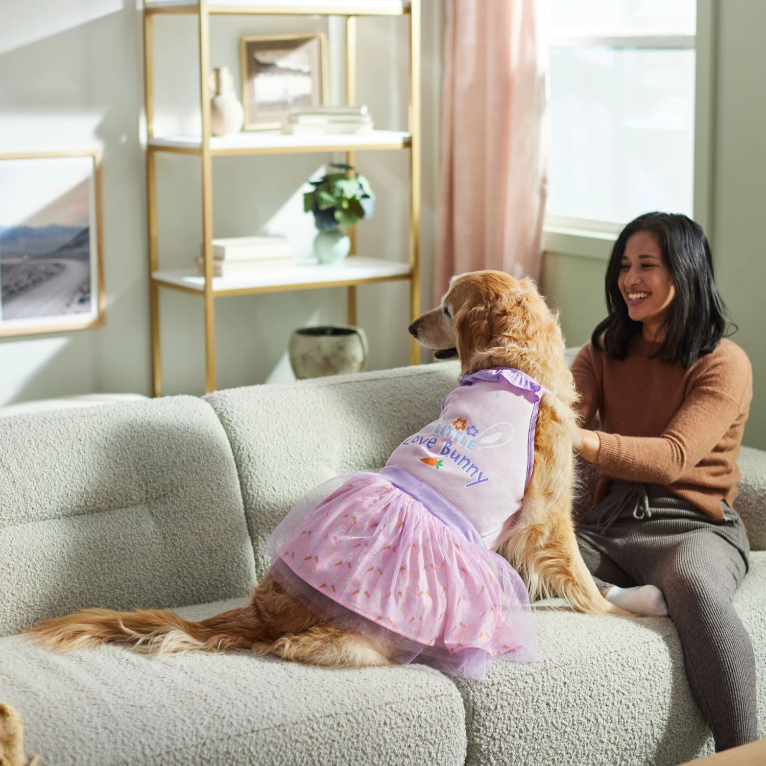 Frisco Love Bunny Dog & Cat Dress 8 Frisco Love Bunny Dog & Cat Dress - Image 6