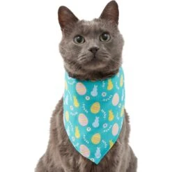 Frisco Spring Easter Egg Dog & Cat Bandana -Pet Supplies Discount Store 300663 PT2. AC SS1800 V1641537094