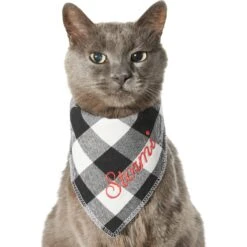 Frisco Buffalo Check Embroidered Personalized Dog & Cat Bandana -Pet Supplies Discount Store 301162 PT7. AC SS1800 V1628535983
