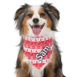 Frisco Fair Isle Personalized Dog & Cat Bandana -Pet Supplies Discount Store 301357 PT6. AC SS1800 V1628100112