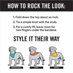 Frisco Gingerbread Cookie Personalized Dog & Cat Bandana -Pet Supplies Discount Store 301361 PT2. AC SS1800 V1623274646