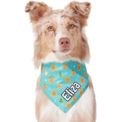 Frisco Gingerbread Cookie Personalized Dog & Cat Bandana -Pet Supplies Discount Store 301361 PT6. AC SS1800 V1628100109