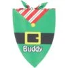 Frisco Santa's Favorite Elf Personalized Dog & Cat Bandana -Pet Supplies Discount Store 301369 MAIN. AC SS1800 V1627654925