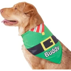 Frisco Santa's Favorite Elf Personalized Dog & Cat Bandana -Pet Supplies Discount Store 301369 PT6. AC SS1800 V1628100146