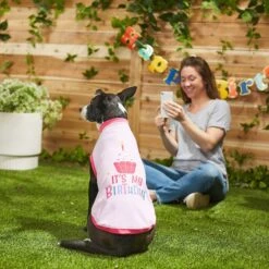 Frisco Birthday Cake Dog & Cat Hat & Frisco It's My Birthday Dog & Cat T-Shirt, Pink 18 Frisco Birthday Cake Dog & Cat Hat & Frisco It's My Birthday Dog & Cat T-Shirt, Pink -Pet Supplies Discount Store 302398 PT7. AC SS1800 V1623068851