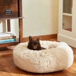 Frisco Eyelash Cat & Dog Bolster Bed & Frisco Eyelash Cat & Dog Bolster Bed 15 Frisco Eyelash Cat & Dog Bolster Bed & Frisco Eyelash Cat & Dog Bolster Bed -Pet Supplies Discount Store 302450 PT4. AC SS1800 V1623046356