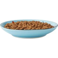 Frisco New York Non-skid Ceramic Cat Dish & Frisco New York Non-skid Ceramic Cat Bowl -Pet Supplies Discount Store 302488 PT2. AC SS1800 V1623059244