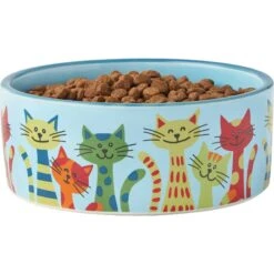 Frisco New York Non-skid Ceramic Cat Dish & Frisco New York Non-skid Ceramic Cat Bowl -Pet Supplies Discount Store 302488 PT6. AC SS1800 V1623041543