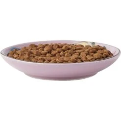 Frisco Paris Non-skid Ceramic Cat Dish & Frisco Paris Non-skid Ceramic Cat Dish -Pet Supplies Discount Store 302490 PT2. AC SS1800 V1623058041