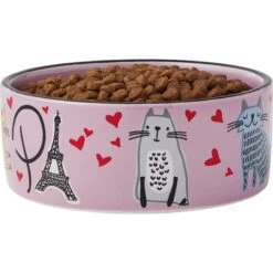 Frisco Paris Non-skid Ceramic Cat Dish & Frisco Paris Non-skid Ceramic Cat Dish -Pet Supplies Discount Store 302490 PT6. AC SS1800 V1623067060