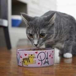 Frisco Paris Non-skid Ceramic Cat Dish & Frisco Paris Non-skid Ceramic Cat Dish -Pet Supplies Discount Store 302490 PT8. AC SS1800 V1623043046