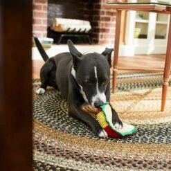 Frisco Pizza Slice Plush Squeaky Dog Toy & Frisco Taco Plush Squeaky Dog Toy -Pet Supplies Discount Store 302494 PT6. AC SS1800 V1623071256