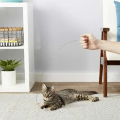 Frisco Cardboard & Wire Teaser Cat Toy & Frisco Fabric Teaser Wand Cat Toy -Pet Supplies Discount Store 302538 PT3. AC SS1800 V1623035861