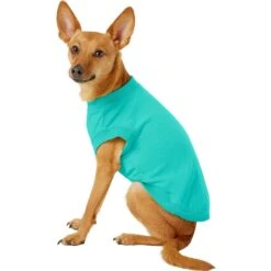 Frisco Basic Dog & Cat T-Shirt & Frisco Basic Dog & Cat T-Shirt -Pet Supplies Discount Store 302652 PT5. AC SS1800 V1623086567