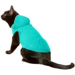 Frisco Basic Dog & Cat T-Shirt & Frisco Dog & Cat Basic Hoodie 15 Frisco Basic Dog & Cat T-Shirt & Frisco Dog & Cat Basic Hoodie -Pet Supplies Discount Store 302680 PT4. AC SS1800 V1633076172
