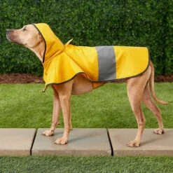 Frisco Lightweight Rainy Days Dog Raincoat & Frisco Lightweight Clear Vinyl Dog Raincoat -Pet Supplies Discount Store 302814 PT4. AC SS1800 V1623089554