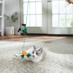 Frisco St. Patrick's Leprechaun Teaser Wand Cat Toy With Catnip -Pet Supplies Discount Store 303104 PT3. AC SS1800 V1641230319
