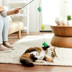 Frisco St. Patrick's Shamrock Teaser Wand Cat Toy With Catnip -Pet Supplies Discount Store 303108 PT3. AC SS1800 V1641230422