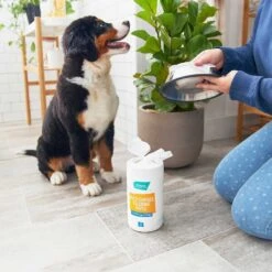 Catit Flower Plastic Cat Fountain & Frisco Pet Toy & Bowl Cleaning Wipes, 70 Count -Pet Supplies Discount Store 303288 PT7. AC SS1800 V1623047247