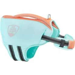 Frisco Active Dog Life Jacket & Frisco Foam Rubber Floating Fetch Ball No Squeak Dog Toy 13 Frisco Active Dog Life Jacket & Frisco Foam Rubber Floating Fetch Ball No Squeak Dog Toy -Pet Supplies Discount Store 303364 PT2. AC SS1800 V1623163059