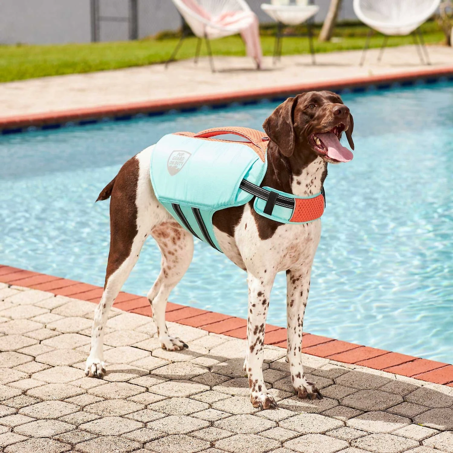 Frisco Active Dog Life Jacket & Frisco Foam Rubber Floating Fetch Ball No Squeak Dog Toy 6 Frisco Active Dog Life Jacket & Frisco Foam Rubber Floating Fetch Ball No Squeak Dog Toy - Image 4