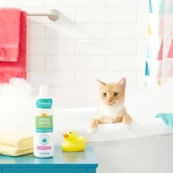 Frisco Aloe Hydrating Dog & Cat Spray, Sweet Nectar Scent & Frisco Oatmeal Dog & Cat Shampoo, Almond Scent -Pet Supplies Discount Store 303372 PT8. AC SS1800 V1623070966