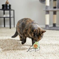 Frisco Cactus Cat Scratching Post & Frisco Dangly Avocado Buddy Plush Cat Toy With Catnip 15 Frisco Cactus Cat Scratching Post & Frisco Dangly Avocado Buddy Plush Cat Toy With Catnip -Pet Supplies Discount Store 303380 PT6. AC SS1800 V1623085642
