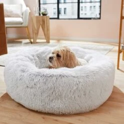 Frisco Eyelash Cat & Dog Bolster Bed & Frisco Eyelash Cat & Dog Blanket -Pet Supplies Discount Store 303412 PT4. AC SS1800 V1623069146