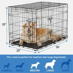 Frisco Fold & Carry Double Door Collapsible Wire Dog Crate & Mat Kit & Frisco Stainless Steel Bowl -Pet Supplies Discount Store 303428 PT2. AC SS1800 V1623055045