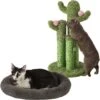 Frisco Self Warming Bolster Round Kitten Bed & Frisco Cactus Cat Scratching Post -Pet Supplies Discount Store 303576 MAIN. AC SS1800 V1623039741