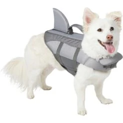 Frisco Shark Dog Life Jacket & KONG Aqua Dog Toy -Pet Supplies Discount Store 303588 PT1. AC SS1800 V1623059854