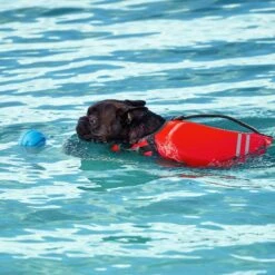 Frisco Shark Dog Life Jacket & Frisco Foam Rubber Floating Fetch Ball No Squeak Dog Toy -Pet Supplies Discount Store 303590 PT7. AC SS1800 V1623040948