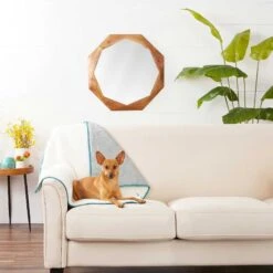 Frisco Sherpa Dog & Cat Blanket & Frisco Sherpa Hexagon Bolster Cat & Dog Bed -Pet Supplies Discount Store 303598 PT3. AC SS1800 V1623082359