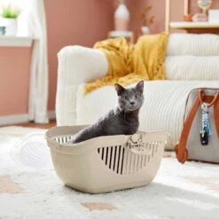 Frisco Top Loading Cat Kennel & Frisco Cactus Cat Scratching Post -Pet Supplies Discount Store 303648 PT4. AC SS1800 V1623053540