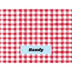 Frisco Personalized Gingham Plaid Soft Fleece Cat & Dog Blanket, 30" X 40" 12 Frisco Personalized Gingham Plaid Soft Fleece Cat & Dog Blanket, 30" X 40" -Pet Supplies Discount Store 304001 PT4. AC SS1800 V1637609279