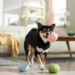 Frisco Easter Eggs Plush Squeaky Dog Toy 12 Frisco Easter Eggs Plush Squeaky Dog Toy -Pet Supplies Discount Store 304954 PT4. AC SS1800 V1702500565