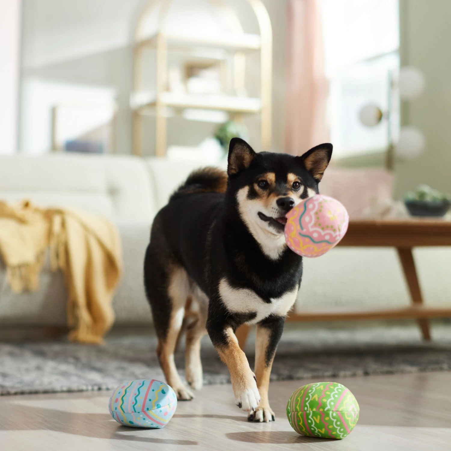 Frisco Easter Eggs Plush Squeaky Dog Toy 7 Frisco Easter Eggs Plush Squeaky Dog Toy - Image 5