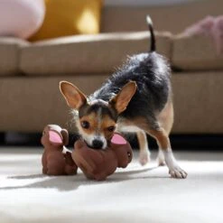 Frisco Easter Chocolate Bunnies Latex Squeaky Dog Toy 8 Frisco Easter Chocolate Bunnies Latex Squeaky Dog Toy -Pet Supplies Discount Store 304956 PT4. AC SS1800 V1700162989