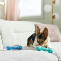 Frisco Easter TPR Bone Squeaky Dog Toy, Medium/Large, 2 Count -Pet Supplies Discount Store 304966 PT4. AC SS1800 V1670608502