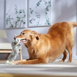 Frisco Easter Bunny Plush With Rope Squeaky Dog Toy -Pet Supplies Discount Store 304974 PT4. AC SS1800 V1702500566