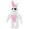 Frisco Easter Bunny Muscle Plush Squeaky Dog Toy -Pet Supplies Discount Store 304976 MAIN. AC SS1800 V1642441114