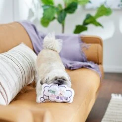 Frisco Easter Message Bubble Plush Squeaky Dog Toy 9 Frisco Easter Message Bubble Plush Squeaky Dog Toy -Pet Supplies Discount Store 304980 PT3. AC SS1800 V1642441439