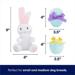 Frisco Easter Basket Hide & Seek Puzzle Plush Squeaky Dog Toy 10 Frisco Easter Basket Hide & Seek Puzzle Plush Squeaky Dog Toy -Pet Supplies Discount Store 304982 PT2. AC SS1800 V1702665735