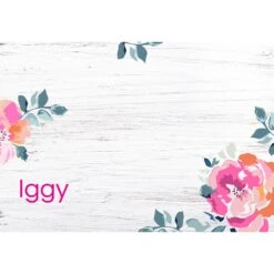 Frisco Personalized Rustic Dog & Cat Placemat -Pet Supplies Discount Store 306756 PT2. AC SS1800 V1636048332