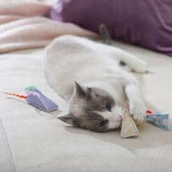 Frisco Spring Party Hat Kickers Cat Toy With Catnip -Pet Supplies Discount Store 306960 PT3. AC SS1800 V1703184746