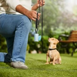 Frisco Dog Poop Bag Square Design Dispenser 14 Frisco Dog Poop Bag Square Design Dispenser -Pet Supplies Discount Store 309816 PT5. AC SS1800 V1670276147