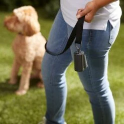 Frisco Poop Bag Square Design Dispenser -Pet Supplies Discount Store 309818 PT5. AC SS1800 V1669101248