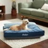 Frisco Personalized Navy Bolstered Bed With Navy Check Bolster 1 Frisco Personalized Navy Bolstered Bed With Navy Check Bolster -Pet Supplies Discount Store 311766 MAIN. AC SS1800 V1633102642